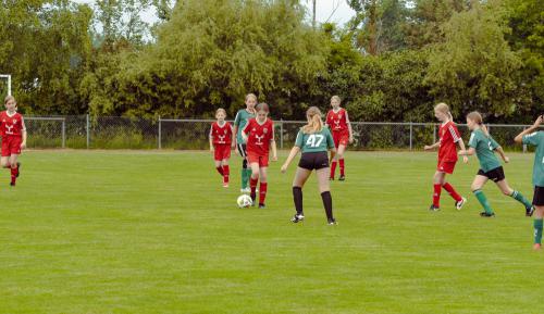 D7500_D750_20220618_090150