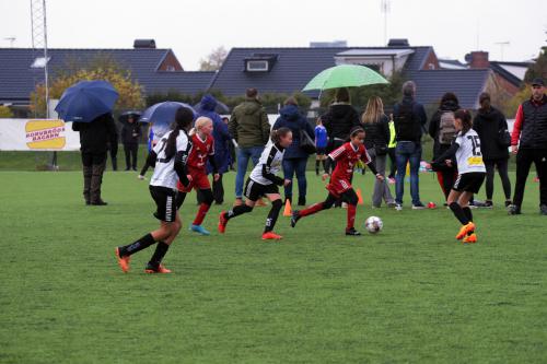 D7500_D750_20221015_110718