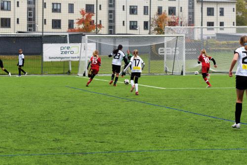 D7500_D750_20221015_113317_02