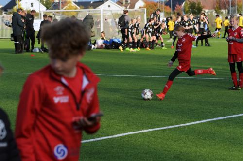 D7500_D750_20221015_161511