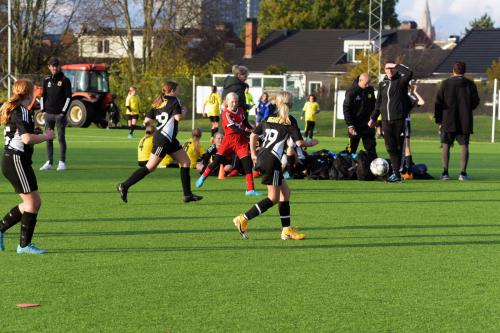 D7500_D750_20221015_162013_01