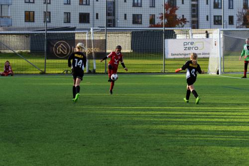 D7500_D750_20221015_162553