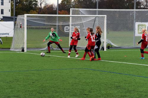 D7500_D750_20221015_163829